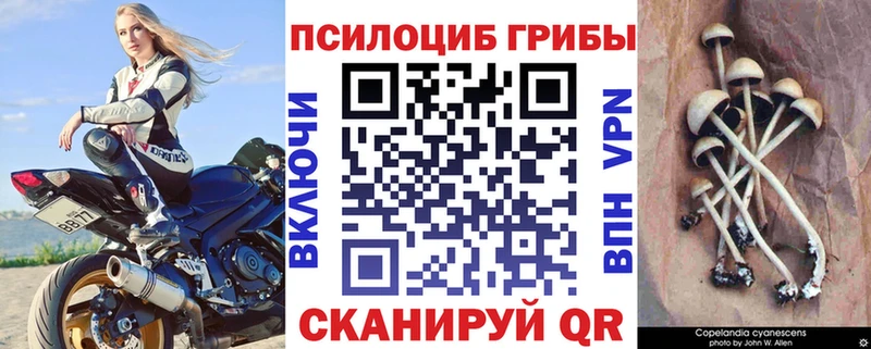 Псилоцибиновые грибы мухоморы  как найти закладки  Омск 